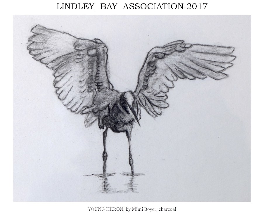 Lindley Bay Association 2017 Calendar